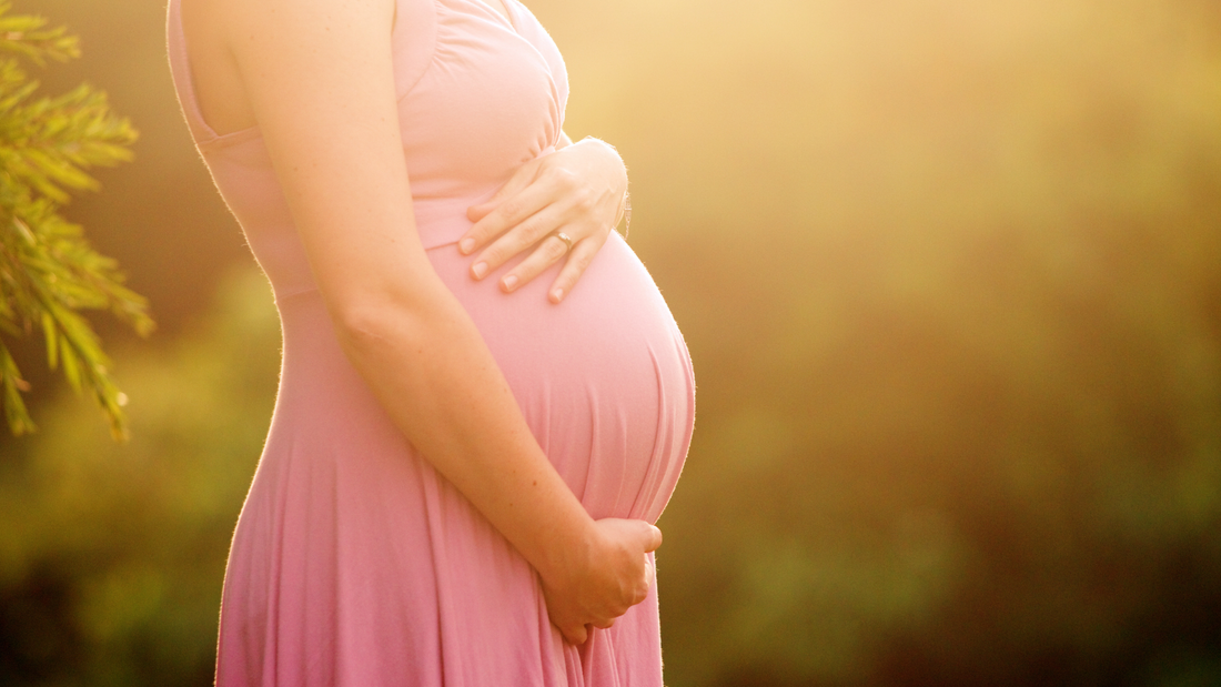 A Comprehensive Guide to Nutrition during Pregnancy and Lactation: A Holistic Approach