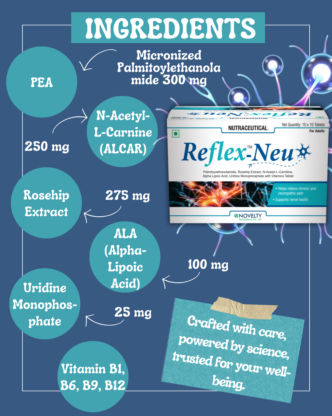 Nutritional supplement ingredients chart with Reflex-Neu packaging on a blue background with ingredients as PEA, ALCAR, Rosehip extract, ALA, Uridine Monophosphate and vitamin B1, B6, B9, B12