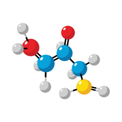 Aromatic Amino Acids (L-Phenylalanine, L-Tryptophan)