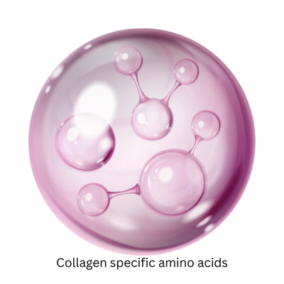 Collagen-Specific Amino Acids