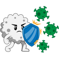 Low Immunity