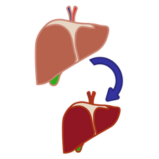 background shape