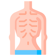 background shape