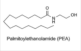 Palmitoylethanolamide