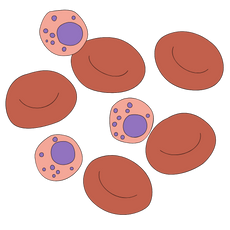 background shape