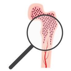 background shape