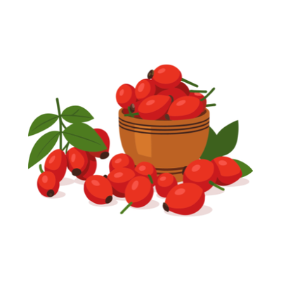 Rosehip Extract