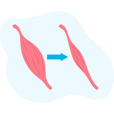 background shape
